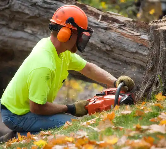 tree services Sturgeon Lake